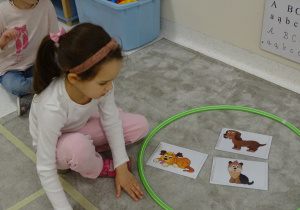 07 Dziewczynka układa obrazek w odpowiednim zbiorze