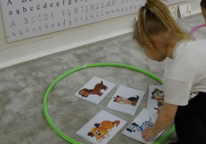 08 Dziewczynka układa obrazek w odpowiednim zbiorze