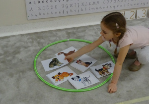 09 Dziewczynka układa obrazek w odpowiednim zbiorze