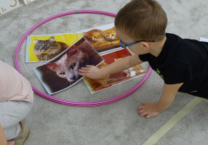 10 Chłopiec układa obrazek w odpowiednim zbiorze