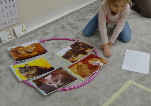 12 Dziewczynka układa obrazek w odpowiednim zbiorze