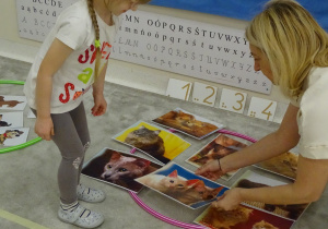 13 Dziewczynka z panią układa obrazek w odpowiednim zbiorze