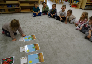 dzieci poznają etapy rozwoju tulipana