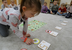 dziecko nazywa szuka liczy owady i odszukuje na planszy