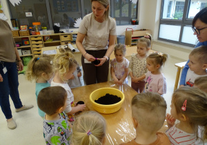 pani mówi jak wsadzać roślinę