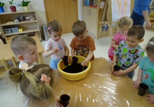 dzieci wsypują ziemię do kubka