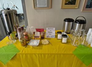 Bajka charytatywna ,,Królowa Śniegu''