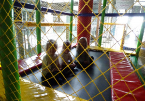 dziewczynki siedzą na trampolinie