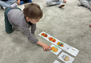 Chłopiec układa obrazki