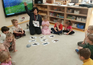 informacje o dinozaurach