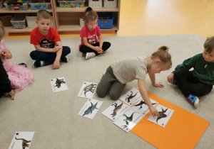 segregowanei- odróznianei dinozaurów rośkinożernych od mięsożernych