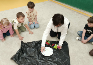 Eksperyment ze skitelsami