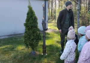 Dzieci słuchają opowieści o ptakach żyjących w lesie
