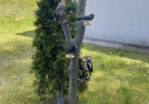 Ptaki na drzewie.
