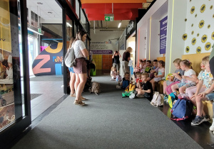 Poczęstunek z plecaczków