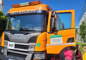 Śmieciarka ekoregionu