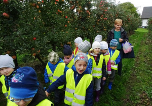 Dzieci spacerują po sadzie