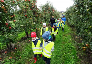 Dzieci spacerują między jabłonkami