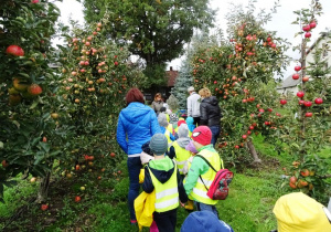 Dzieci spacerują pomiędzy drzewami pełnymi jabłek