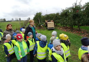 Dzieci i traktor ze skrzyniami na jabłka