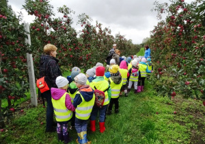 Dzieci i panie w sadzie pełnym jabłek