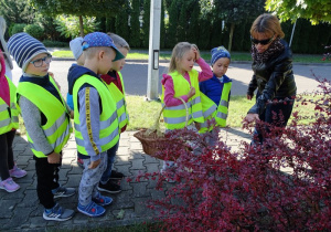 Pani Ewa pokazuje dzieciom przydrożne rośliny.