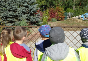 Dzieci oglądają okoliczne ogródki w kolorach jesieni.