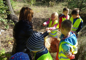 Dzieci zbierają dary lasu.