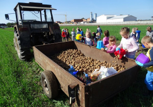 Dzieci wsypują ziemniaki na przyczepę.
