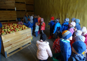 Dzieci zwiedzają chłodnię i oglądają, w jaki sposób przechowuje się jabłka.
