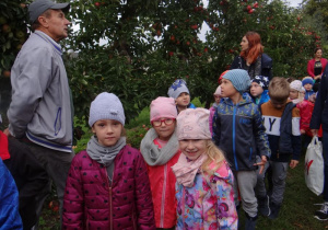 Dzieci słuchają opowiadania pana Wojtka o jabłkach i jabłoniach.