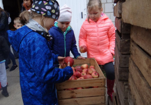 Iza, Madzia i Zosia częstują się jabłkami.