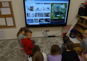 Poszukujemy na monitorze innych sposobów eksponowania pokarmu dla ptaków.