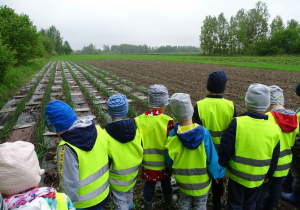 Dzieci oglądają zagon cebuli